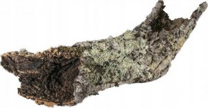 Terra Natura Dekoracja do terrarium tuby i płaty korkowe L-XL (country of origin Portugal) 1kg 3