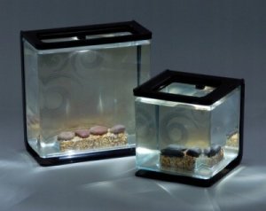 Marina Włącznik z rodzielaczem Marina Micro-LED 6