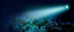 Fluval Oświetlenie Fluval Prism LED Spot Light, 6.5W RGB 2