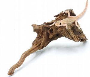 Terra Natura Szybko tonące drewno, S 20-30CM 6