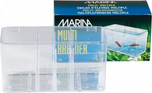 Marina Kotnik Marina Multi Breeder 1