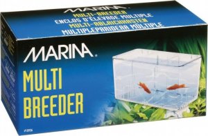 Marina Kotnik Multi Breeder 2
