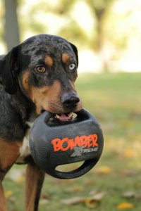 Zeus Piłka ZS Xtreme Bomber, Mini, 11,5 cm 3