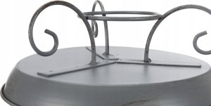 Trixie Miseczka na wodę/basen dla ptaków, 800 ml/o 22 cm, szara 3