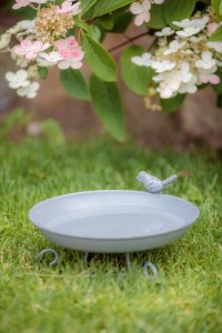 Trixie Miseczka na wodę/basen dla ptaków, 800 ml/o 22 cm, szara 6