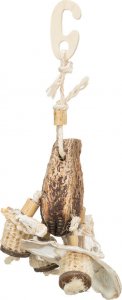 Trixie Zabawka naturalna, dla ptaków, strąk mahoniowy, muszle, 26 cm 1