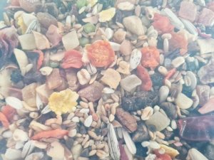 Vitapol Vitaline Karma pełnoporcjowa dla żako, aleksandretty oraz inne duże papugi, wiadro 1,9 kg 2