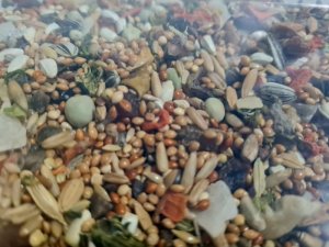 Vitapol Vitaline Karma pełnoporcjowa dla konur, mnich i innych średnich papug, wiadro 2,2 kg 2