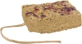 Trixie Kamień gliniany z kwiatami 100g 2