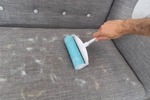 Trixie Rolka do sierści XXL, biała/turkus, silikon, 20x30cm (TX-23236) 2