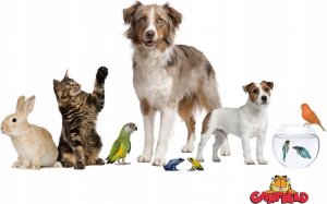 Żwirek dla kota Garfield , żwirek bentonit dla kota, lawendowy 5L 3