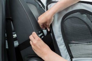 Trixie Fotel samochodowy dla psa, szary/czarny, 44 × 37 × 40 cm 10