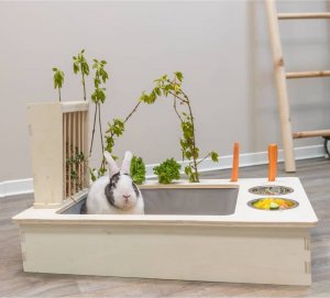 Trixie Kuwetopaśnik dla kawii domowych/królików, drewno, 70 x 41 x 47 cm 3