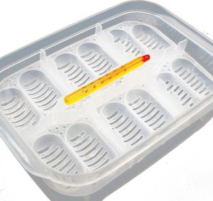 Exo Terra Box Inkubacyjny, 16,5 x 11 x 5cm 5