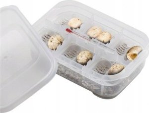 Exo Terra Box Inkubacyjny, 16,5 x 11 x 5cm 7