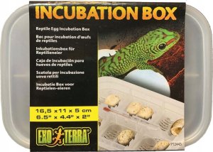 Exo Terra Box Inkubacyjny, 16,5 x 11 x 5cm 9