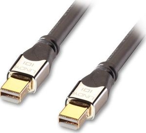 Kabel Lindy DisplayPort Mini - DisplayPort Mini 0.5m srebrny (41540) 1
