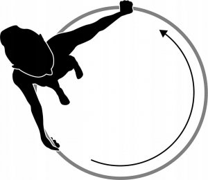 Schildkrot SF FIT HOOP grey-rose 3