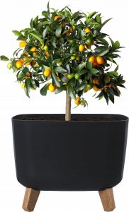 Prosperplast Doniczka na nóżkach Gracia Square DGQL300 Antracyt 3