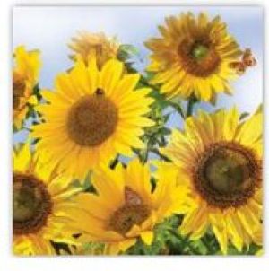 Pol-Mak Serwetki Daisy 33 x 33 cm, 20 sztuk (SDOG 011701) 1