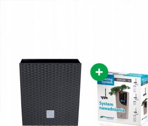 Prosperplast Doniczka RATO LOW DRTS400L + wkład + system Umbra 4