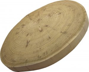 Wamar-Sosenka Okorowany Plaster Akacji 20-25 cm gr. 2 cm Szlifowany Drewno akacjowe Naturalny Surowy 1