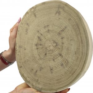 Wamar-Sosenka Okorowany Plaster Akacji 20-25 cm/ gr. 3,5 cm/ Szlifowany Drewno akacjowe Naturalny Surowy 1