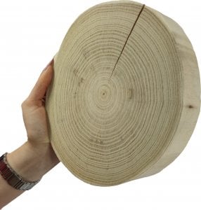 Wamar-Sosenka Okorowany Plaster Akacji 15-20 cm gr. 3,5 cm Szlifowany Drewno akacjowe Naturalny Surowy 1
