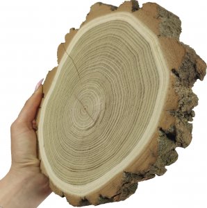 Wamar-Sosenka Plaster Akacji 15-20 cm gr. 3,5 cm Szlifowany z Korą Drewno akacjowe Naturalny Surowy 1