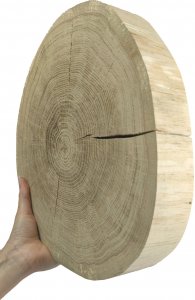 Wamar-Sosenka Okorowany Plaster Dębu 25-30 cm gr. 6 cm Szlifowany Drewno dębowe Naturalny Surowy 1