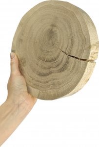 Wamar-Sosenka Okorowany Plaster Dębu 15-20 cm gr. 3 cm Szlifowany Drewno dębowe Naturalny Surowy 1