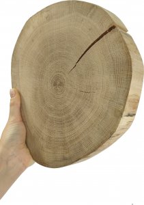 Wamar-Sosenka Okorowany Plaster Dębu 20-25 cm gr. 4 cm Szlifowany Drewno dębowe Naturalny Surowy 1