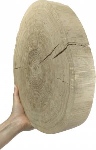 Wamar-Sosenka Okorowany Plaster Dębu 30-35 cm gr. 5 cm Szlifowany Drewno dębowe Naturalny Surowy 1