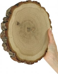 Wamar-Sosenka Plaster Dębu 15-20 cm gr. 3 cm Szlifowany z Korą Drewno dębowe Naturalny Surowy 1