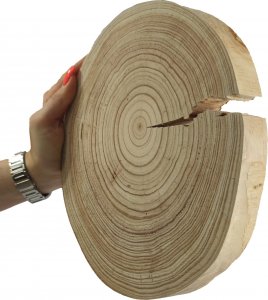 Wamar-Sosenka Okorowany Plaster Modrzewia 20-25 cm gr. 2,5 cm Szlifowany Drewno modrzewiowe Naturalny Surowy 1