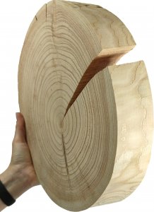Wamar-Sosenka Okorowany Plaster Modrzewia 30-35 cm gr. 5 cm Szlifowany Drewno modrzewiowe Naturalny Surowy 1