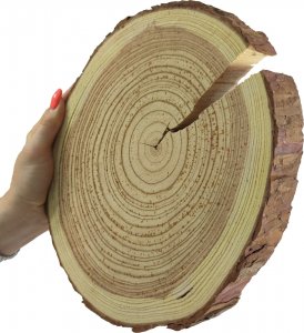 Wamar-Sosenka Plaster Modrzewia 20-25 cm gr. 3 cm Szlifowany z Korą Drewno modrzewiowe Naturalny Surowy 1