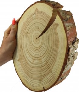 Wamar-Sosenka Plaster Modrzewia 20-25 cm gr. 4 cm Szlifowany z Korą Drewno modrzewiowe Naturalny Surowy 1