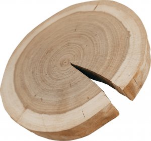 Wamar-Sosenka Okorowany Plaster Czeremchy 15-20 cm gr. 2 cm Szlifowany Drewno czeremchowe Naturalny Surowy 1