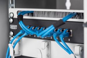 Digitus Organizer kablowy 10" (DN-10 ORG-1/2U) 5