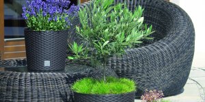 Prosperplast Doniczka rattanowa Donica okrągła RATO ANTRACYT 6