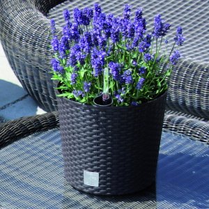 Prosperplast Doniczka rattanowa Donica okrągła RATO ANTRACYT 7