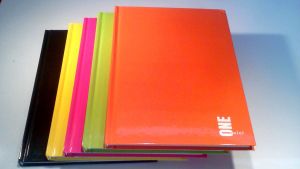 Interdruk Brulion A5/96 kartek w kratkę One Color 2