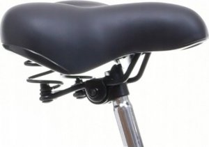 NEEXT Damski Rower Miejski GRACJA 26 Shimano 3b Holender 7