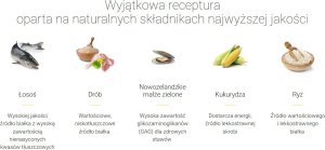 Josera Festival Adult 12,5kg + 2x JosiDog Meat Sticks z jagnięciną 33g 3