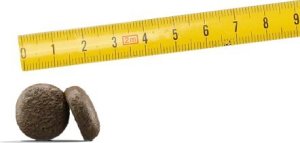 Josera Festival Adult 12,5kg + 2x JosiDog Meat Sticks z jagnięciną 33g 4