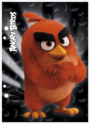 Derform WkĹ‚ad do segregatora A6 Angry Birds 1