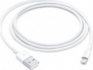 Kabel USB Apple Apple Kabel Lightning - USB 1 m 1