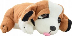 Skleplolki MAŁY WETERYNARZ WIELKI ZESTAW PIESEK TRANSPORTER 11