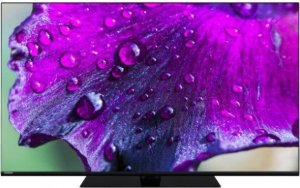 Telewizor Toshiba Telewizor OLED 55 cali 55XA9D63DG 1